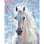 Maľovanie podľa čísel – Biely kôň